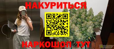 спиды Аргун