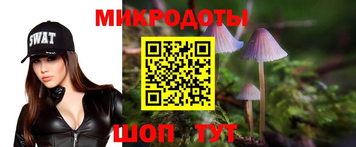 Семилуки  Галлюциногенные грибы ЛСД  Вход с VPN 